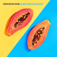 Freedom Dub — Wild World — обложка